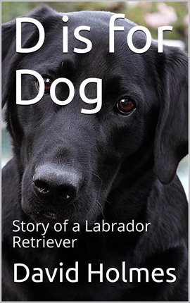 Cover image for D is for Dog