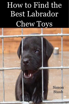 Cover image for How to Find the Best Labrador Chew Toys