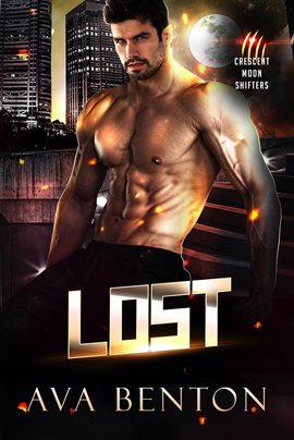 Cover image for Lost