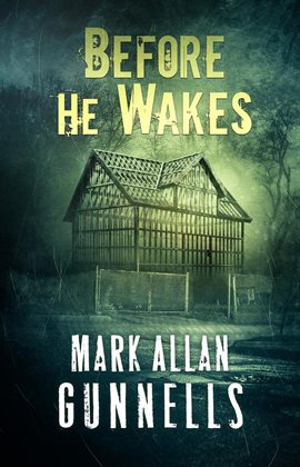 Cover image for Before He Wakes