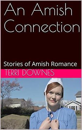 Cover image for An Amish Connection
