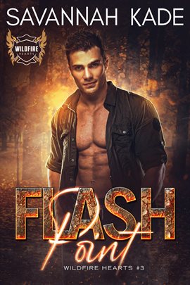 Cover image for Flash Point