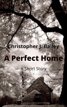 Cover image for A Perfect Home