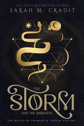 Cover image for The Storm and the Darkness