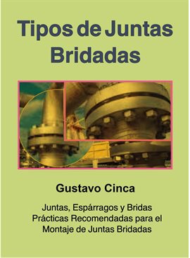 Cover image for Tipos de Juntas Bridadas