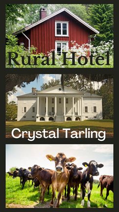 Cover image for Rural Hotel
