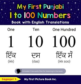 Cover image for My First Punjabi 1 to 100 Numbers Book With English Translations