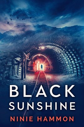 Cover image for Black Sunshine