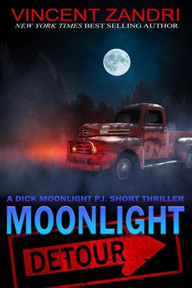 Cover image for Moonlight Detour