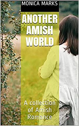 Cover image for Another Amish World