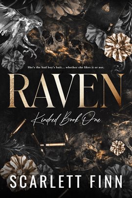 Cover image for Raven