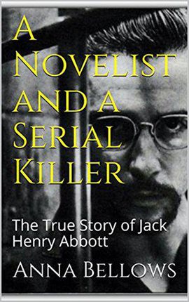 Cover image for A Novelist & Serial Killer