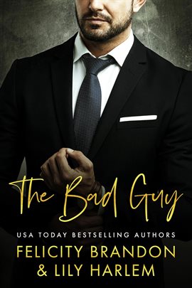 Cover image for The Bad Guy