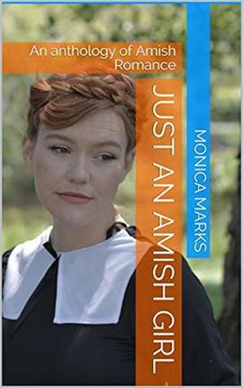 Cover image for Just An Amish Girl