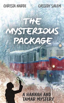 Cover image for The Mysterious Package