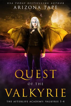 Cover image for Quest of the Valkyrie: The Afterlife Academy