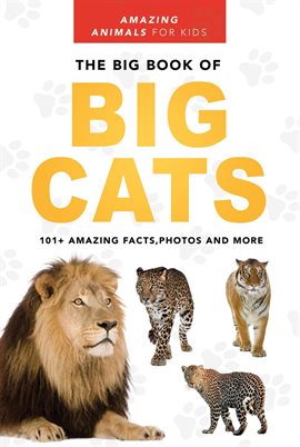 Cover image for The Big Book of Big Cats