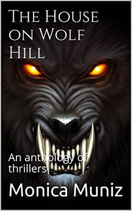 Cover image for The House on Wolf Hill