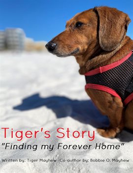 Cover image for Tiger's Story "Finding My Forever Home"