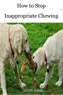 Cover image for How to Stop Inappropriate Chewing