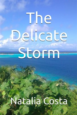 Cover image for The Delicate Storm