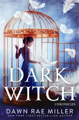 Cover image for The Dark Witch Chronicles Boxset