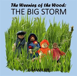 Cover image for The Big Storm