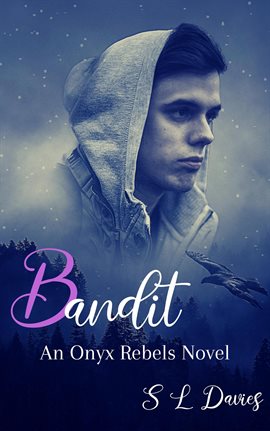 Cover image for Bandit