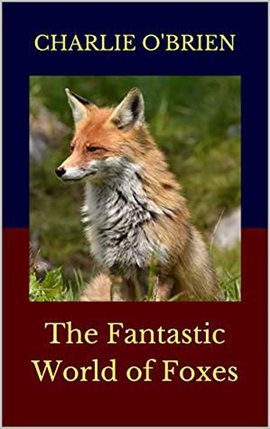 Cover image for The Fantastic World of Foxes