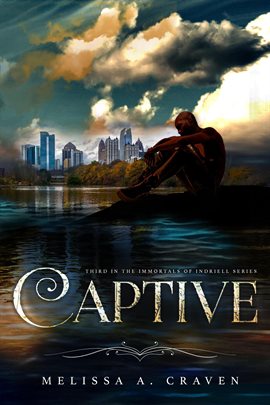 Cover image for Captive