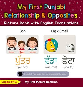 Cover image for My First Punjabi Relationships & Opposites Picture Book With English Translations