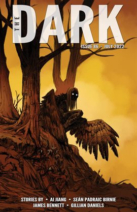 Cover image for The Dark