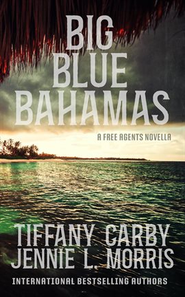 Cover image for Big Blue Bahamas