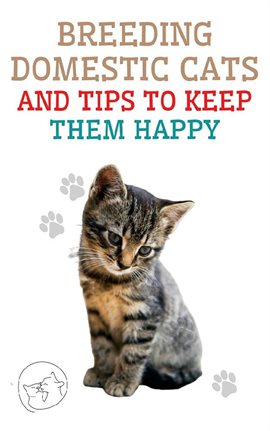 Imagen de portada para Breeding Domestic Cats and Tips to Keep Them Happy