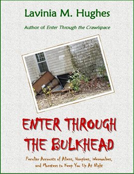 Cover image for Enter Through the Bulkhead