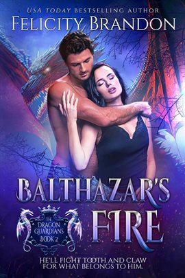 Cover image for Balthazar's Fire
