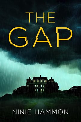 Cover image for The Gap