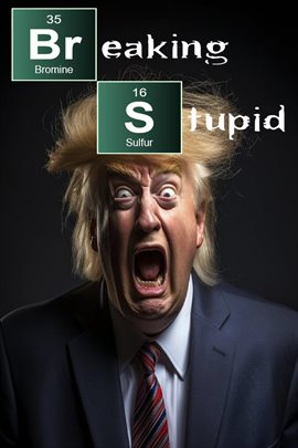 Cover image for Breaking Stupid