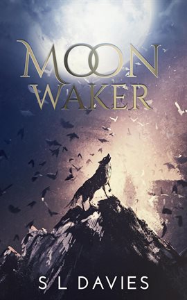 Cover image for Moon Waker