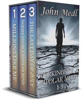 Cover image for Workings of a Bipolar Mind: The Inner Mind of Someone With Bipolar Disorder