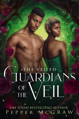 Cover image for Guardians of the Veil