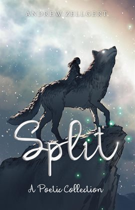 Cover image for Split