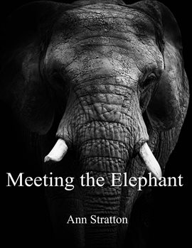 Cover image for Meeting the Elephant