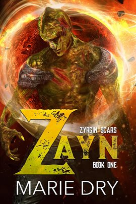 Cover image for Zayn
