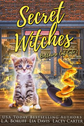 Cover image for Secret Witches