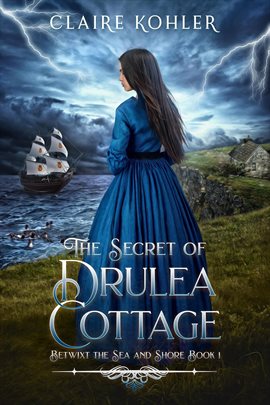 Imagen de portada para The Secret of Drulea Cottage