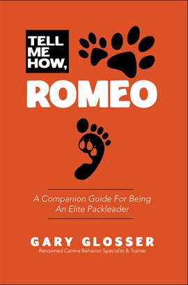 Cover image for Tell Me How, Romeo