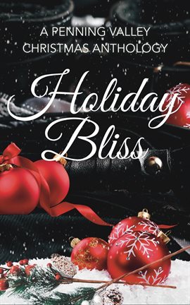Cover image for Holiday Bliss
