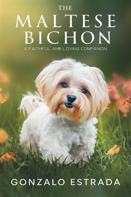 Cover image for The Maltese Bichon