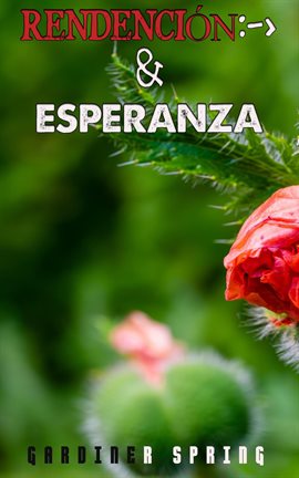 Cover image for Redención y Esperanza